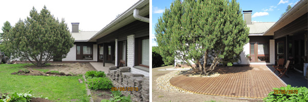 Piha ja viherrakentaminen